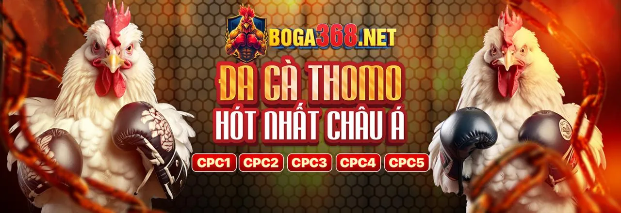 Banner kêu gọi tải ứng dụng hr99
